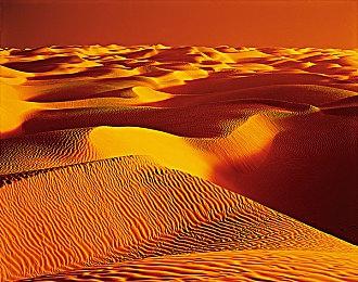 重生娱乐新IP由《泰坦陨落1&2》总监负责开发